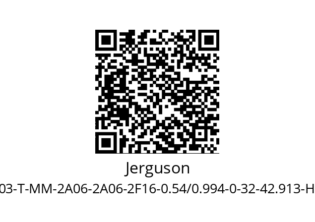   Jerguson MII-25C-03-T-MM-2A06-2A06-2F16-0.54/0.994-0-32-42.913-HELP-MM-B8M