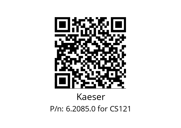   Kaeser 6.2085.0 for CS121