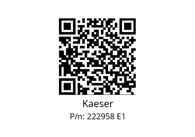   Kaeser 222958 E1