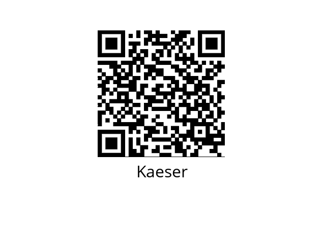  382231-11 Kaeser 