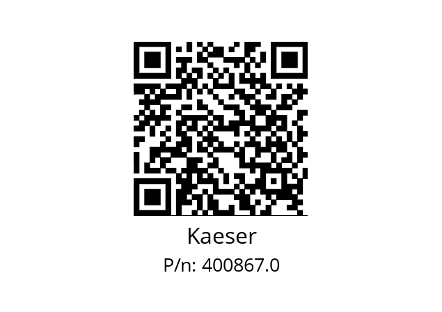  3003716586 Kaeser 400867.0