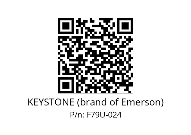 Repair kit  KEYSTONE (brand of Emerson) F79U-024