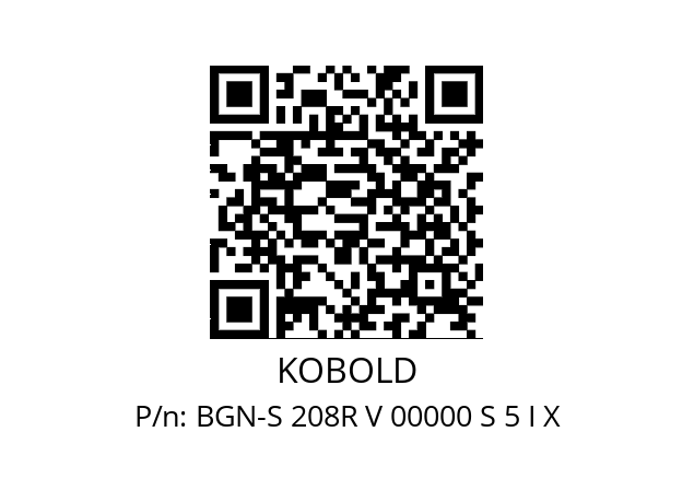   KOBOLD BGN-S 208R V 00000 S 5 I X