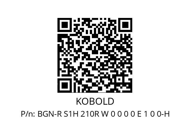   KOBOLD BGN-R S1H 210R W 0 0 0 0 E 1 0 0-H