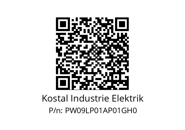   Kostal Industrie Elektrik PW09LP01AP01GH0