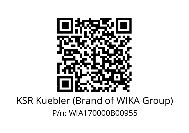   KSR Kuebler (Brand of WIKA Group) WIA170000B00955