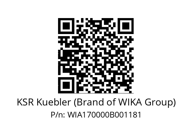   KSR Kuebler (Brand of WIKA Group) WIA170000B001181