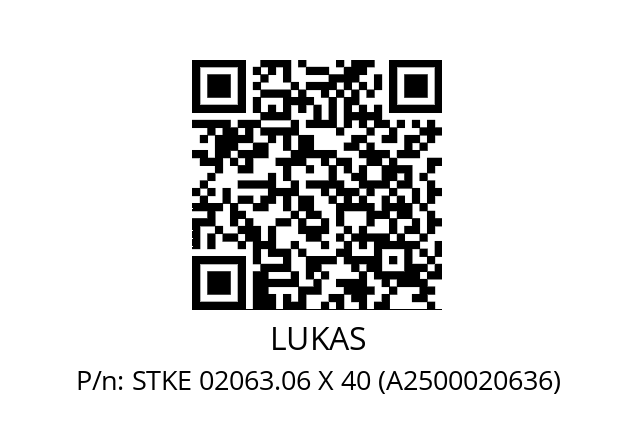   LUKAS STKE 02063.06 X 40 (A2500020636)