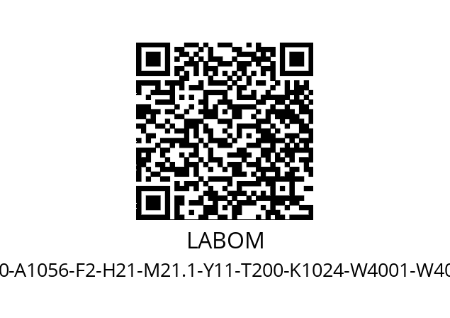   LABOM CI4100-A1056-F2-H21-M21.1-Y11-T200-K1024-W4001-W4020-W4999