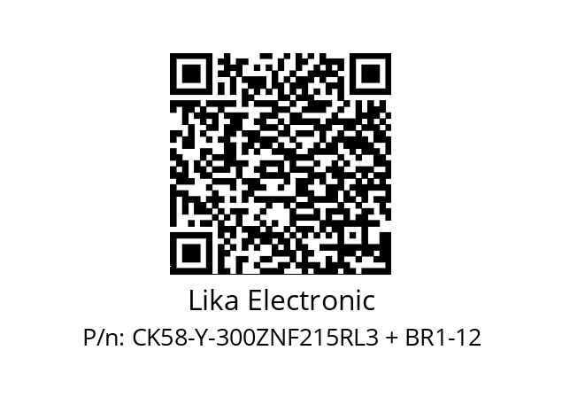   Lika Electronic CK58-Y-300ZNF215RL3 + BR1-12