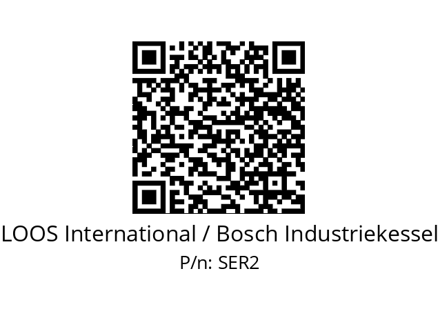   LOOS International / Bosch Industriekessel SER2