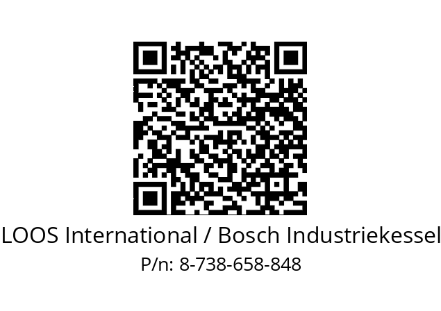   LOOS International / Bosch Industriekessel 8-738-658-848