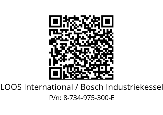   LOOS International / Bosch Industriekessel 8-734-975-300-E