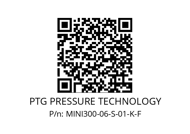   PTG PRESSURE TECHNOLOGY MINI300-06-S-01-K-F