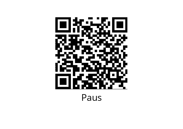  83955491 Paus 