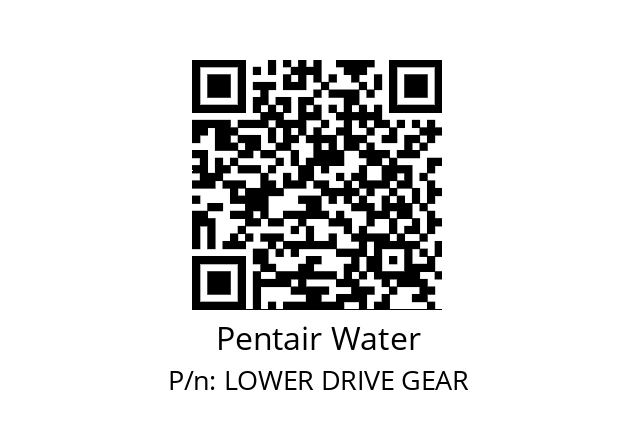   Pentair Water LOWER DRIVE GEAR