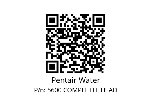   Pentair Water 5600 COMPLETTE HEAD