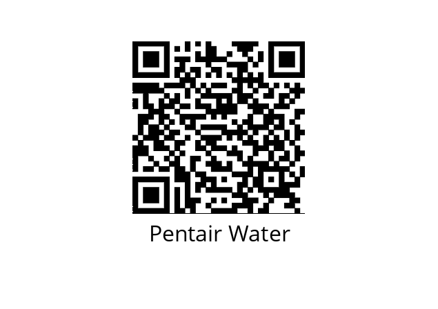  305P6RG1 Pentair Water 