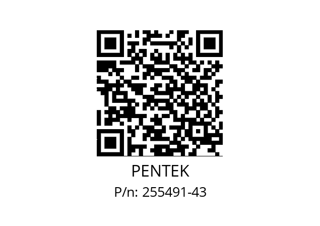   PENTEK 255491-43