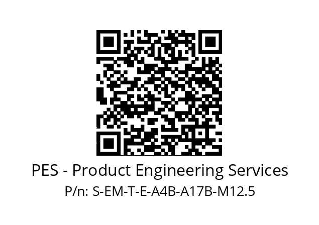   PES - Product Engineering Services S-EM-T-E-A4B-A17B-M12.5