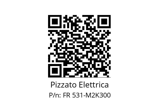   Pizzato Elettrica FR 531-M2K300