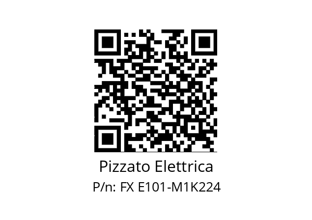   Pizzato Elettrica FX E101-M1K224