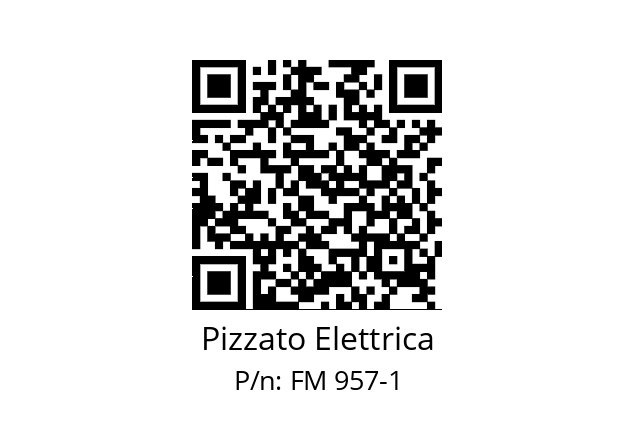   Pizzato Elettrica FM 957-1