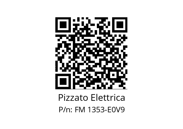   Pizzato Elettrica FM 1353-E0V9