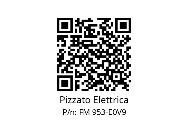   Pizzato Elettrica FM 953-E0V9