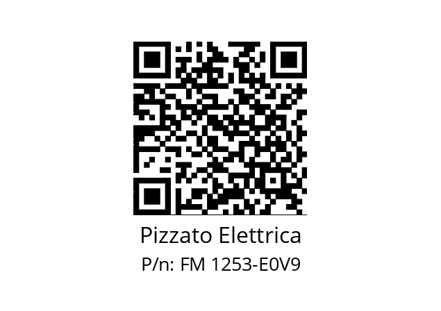   Pizzato Elettrica FM 1253-E0V9