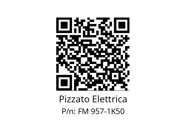   Pizzato Elettrica FM 957-1K50