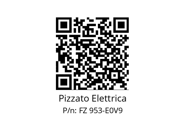   Pizzato Elettrica FZ 953-E0V9