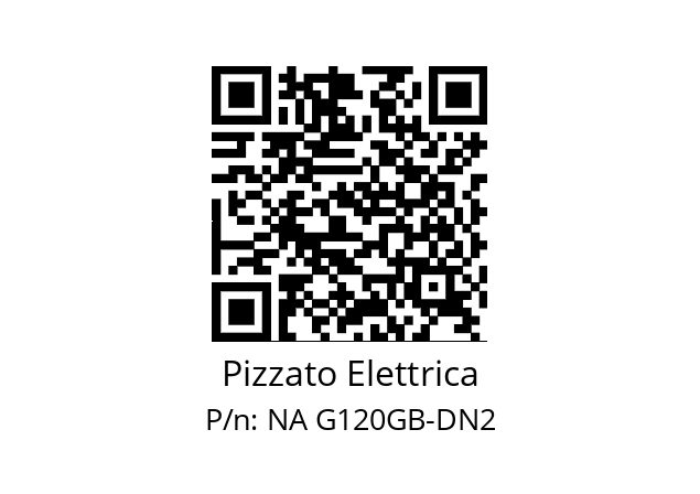   Pizzato Elettrica NA G120GB-DN2