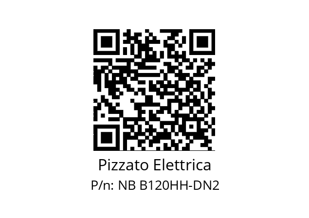   Pizzato Elettrica NB B120HH-DN2