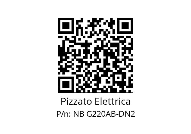   Pizzato Elettrica NB G220AB-DN2