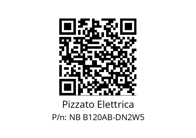   Pizzato Elettrica NB B120AB-DN2W5