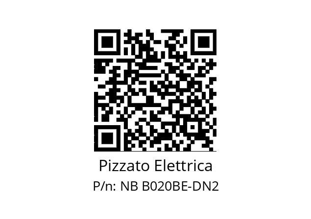   Pizzato Elettrica NB B020BE-DN2