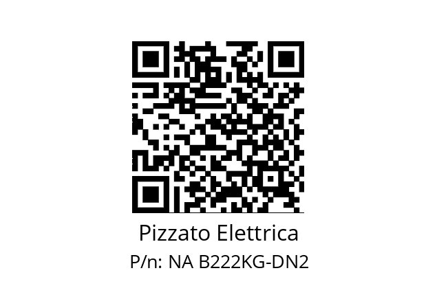   Pizzato Elettrica NA B222KG-DN2