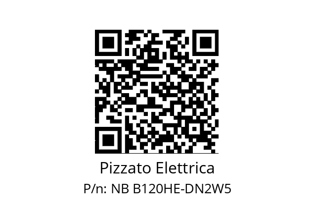   Pizzato Elettrica NB B120HE-DN2W5