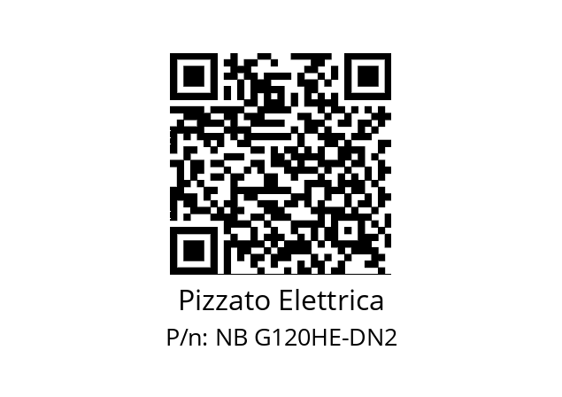   Pizzato Elettrica NB G120HE-DN2