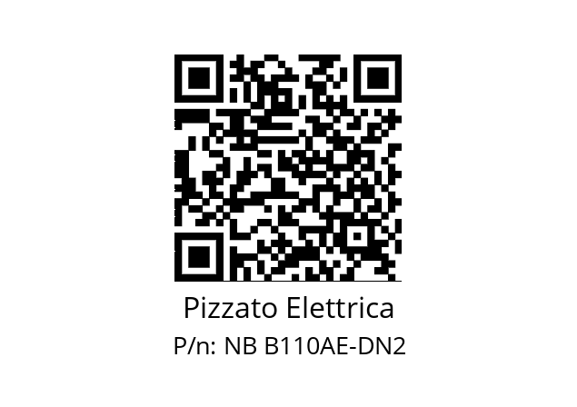   Pizzato Elettrica NB B110AE-DN2