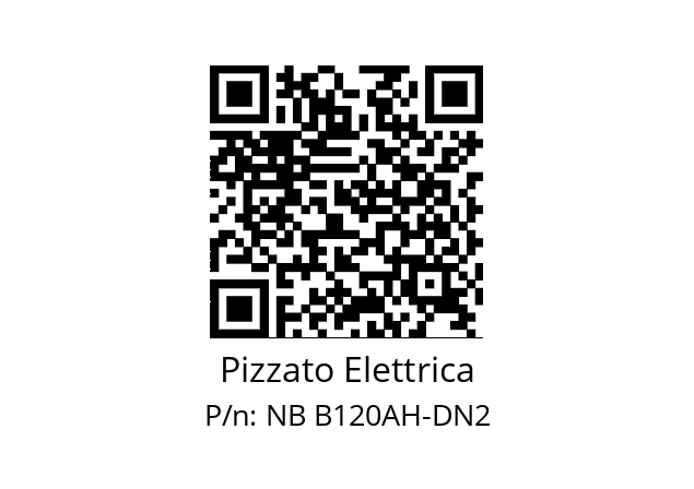   Pizzato Elettrica NB B120AH-DN2