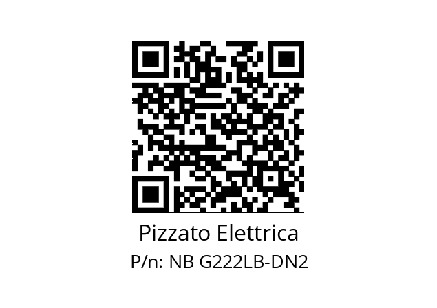   Pizzato Elettrica NB G222LB-DN2