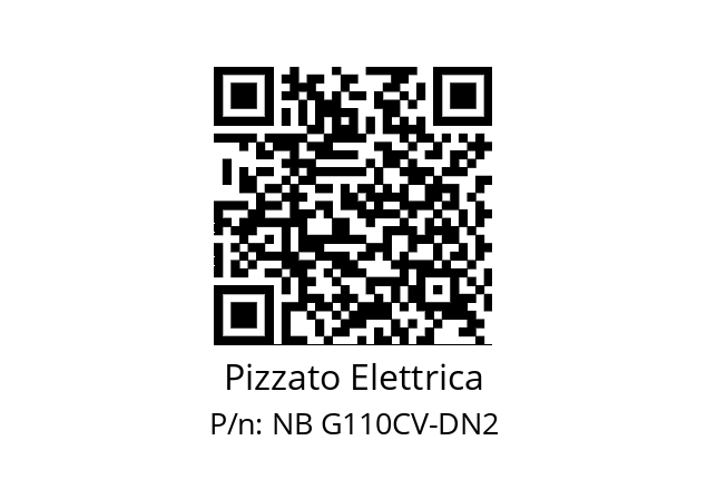   Pizzato Elettrica NB G110CV-DN2