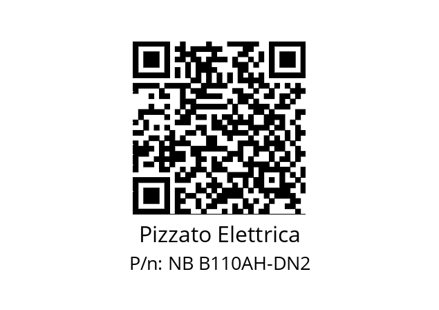   Pizzato Elettrica NB B110AH-DN2