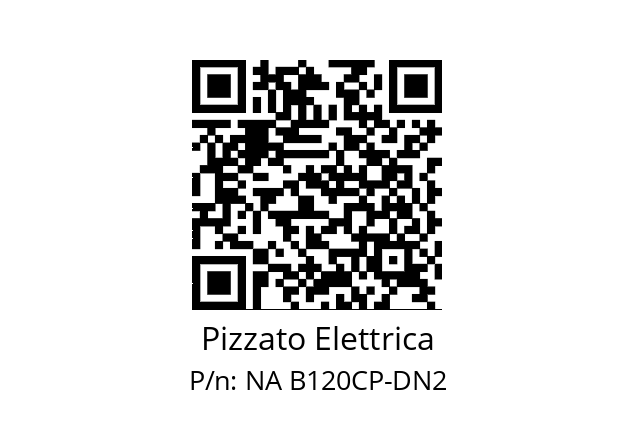   Pizzato Elettrica NA B120CP-DN2