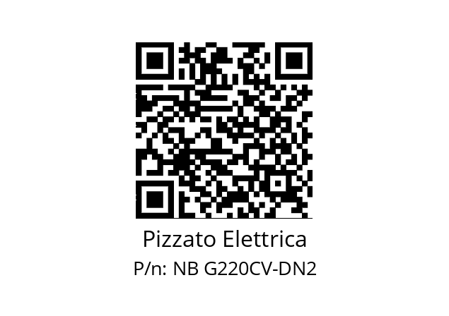   Pizzato Elettrica NB G220CV-DN2