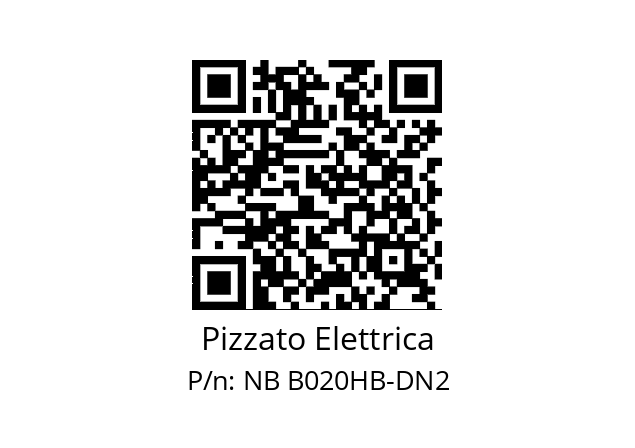   Pizzato Elettrica NB B020HB-DN2