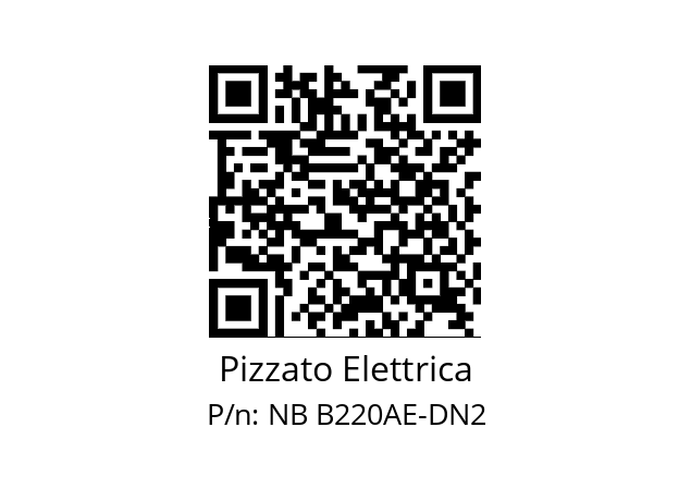   Pizzato Elettrica NB B220AE-DN2