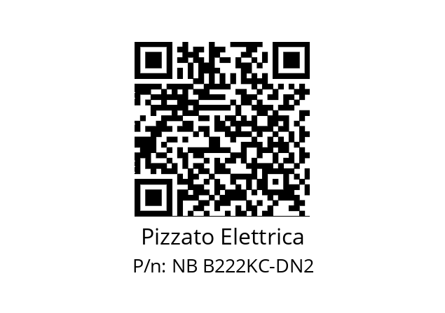   Pizzato Elettrica NB B222KC-DN2